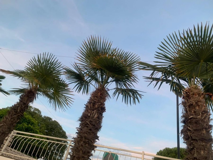 Rodzinny kemping pełen atrakcji, barów i restauracji Camping Bijela Uvala